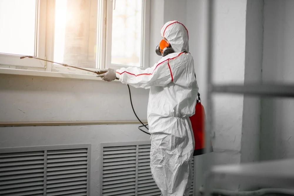 Professional mold remediation services in Silver Lake, WI